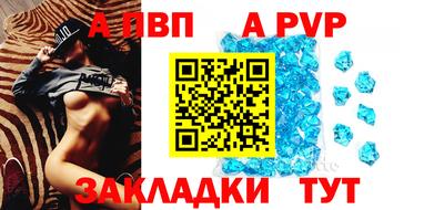 герыч Кингисепп