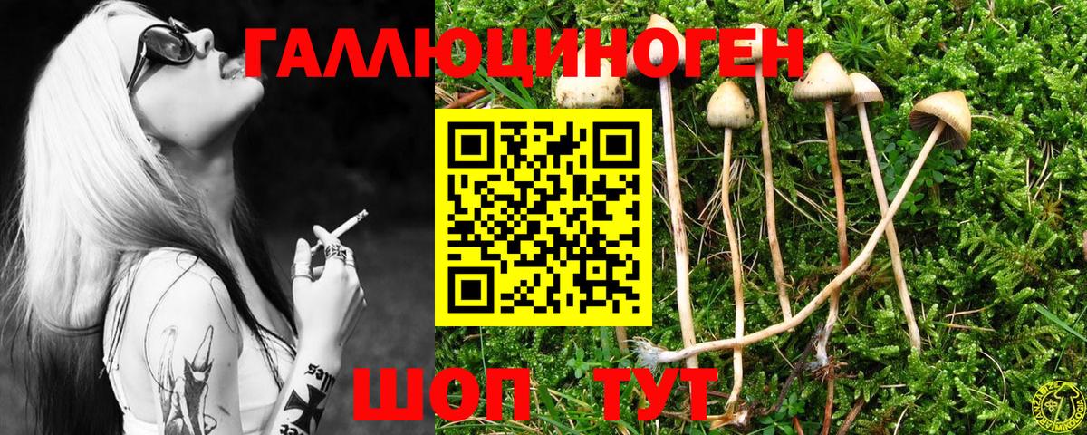 Галлюциногенные грибы прущие грибы  Вход с VPN  Красногорск 